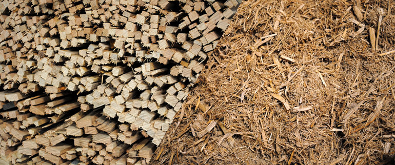 Forest%2520Product%2520Wood%2520Hogs